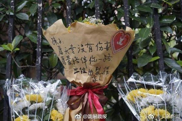 四大新援！利物浦新赛季首发：麦8赫被拆？埃基蒂克中锋两翼齐飞